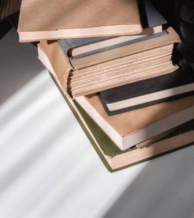 the sicilian's stolen son