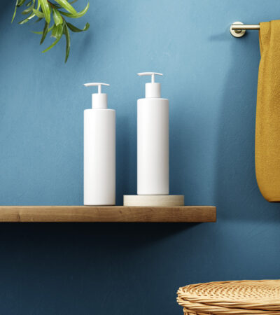 hand soap dispenser wall mount