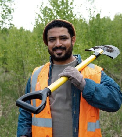 tree surgeons near me