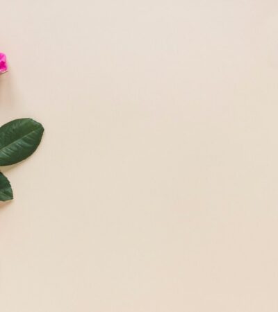 rose vibrator adult toy