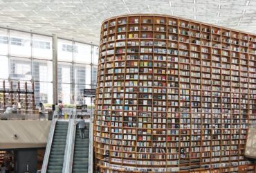 Houston museums art