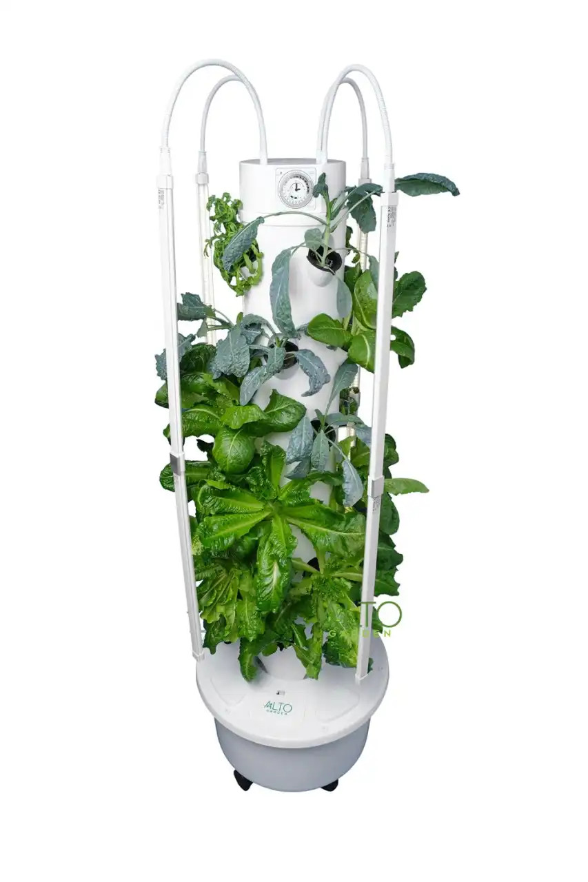 Bnefits-of-vertical-hydroponic